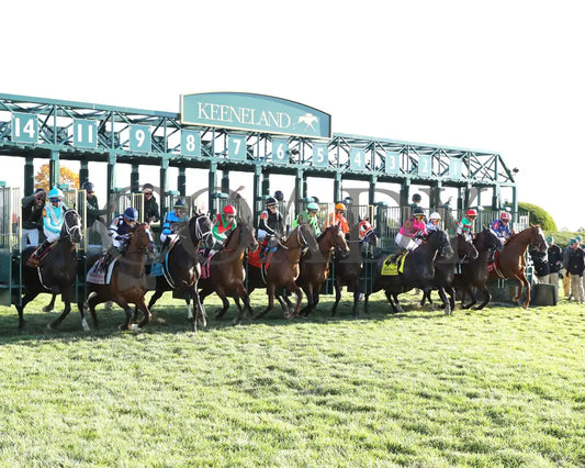 Brilliant Berti - The Bryan Station G3 10-26-24 R09 Kee Start 02 Keeneland