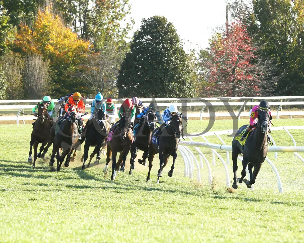 Brilliant Berti - The Bryan Station G3 10-26-24 R09 Kee Turn 01 Keeneland