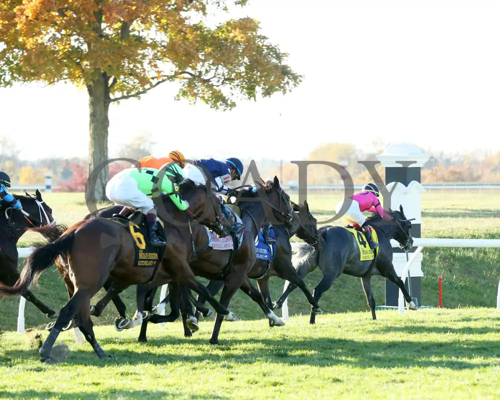 Brilliant Berti - The Bryan Station G3 10-26-24 R09 Kee Turn 02 Keeneland