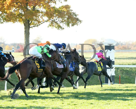 Brilliant Berti - The Bryan Station G3 10-26-24 R09 Kee Turn 02 Keeneland