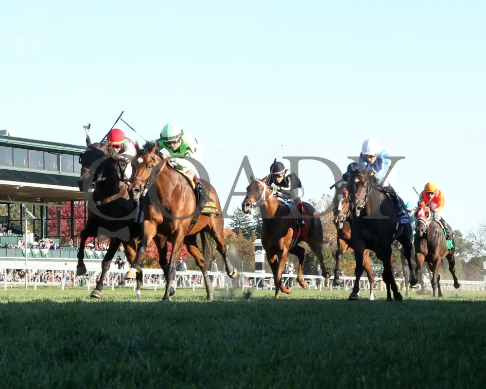 Brilliant Berti - The Bryan Station G3 10-26-24 R09 Kee Under Rail 01 Keeneland