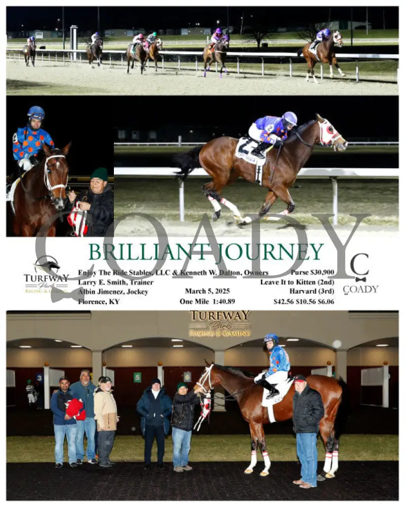 BRILLIANT JOURNEY - 03-05-25 - R03 - TP Turfway Park