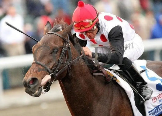 Brilliant Speed - Inside Finish The Toyota Blue Keeneland