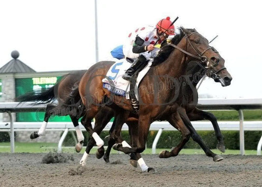 Brilliant Speed - The Toyota Blue Grass Gr I Keeneland