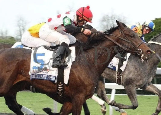 Brilliant Speed - Tight Finish The Toyota Blue G Keeneland