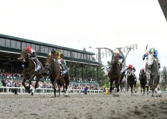 Brilliant Speed - Under Rail The Toyota Blue Gra Keeneland
