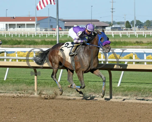 Brittanysgldnfaith - Hoosier Heartland 23Rd Running 09-11-24 R07 Horseshoe Indiana Finish 02
