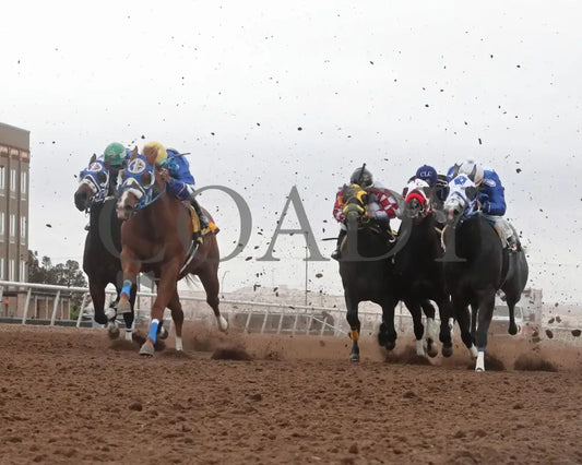 BROADBENT - New Mexican Spring Futurity-29th Running G2 - 04-05-25 - R09 - Sunland Park - Under Rail Sunland Park