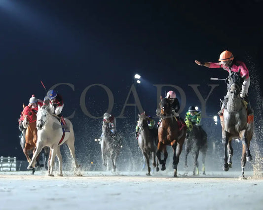 Bron And Brow - The 21St Running Of La Bred Premier Sprint Stakes 02-03-24 R10 Delta Downs Under