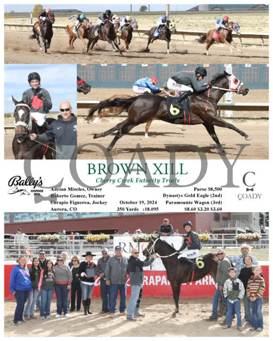 Brown Xill - Cherry Creek Futurity Trials 10-19-24 R03 Arp Arapahoe Park