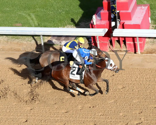 BRU NA BOINNE - 022325 - Race 08 - OP The Trivista Overnight Stakes - Aerial Finish 01 Oaklawn Park