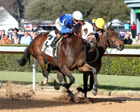 BRU NA BOINNE - 022325 - Race 08 - OP The Trivista Overnight Stakes - Finish 02 Oaklawn Park
