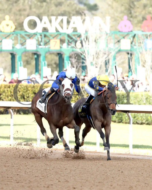 BRU NA BOINNE - 022325 - Race 08 - OP The Trivista Overnight Stakes - Finish 03 Oaklawn Park