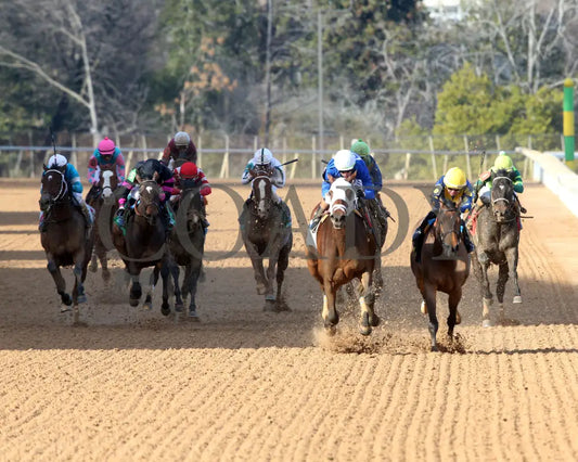 BRU NA BOINNE - 022325 - Race 08 - OP The Trivista Overnight Stakes - Head On 01 Oaklawn Park