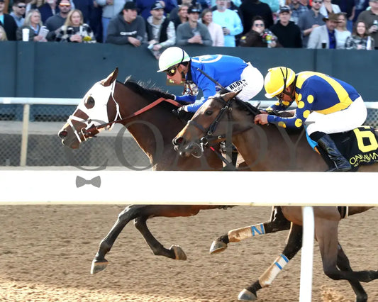 BRU NA BOINNE - 022325 - Race 08 - OP The Trivista Overnight Stakes - Inside Finish 01 Oaklawn Park