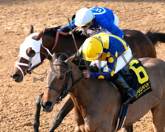 BRU NA BOINNE - 022325 - Race 08 - OP The Trivista Overnight Stakes - Inside Finish 02 Oaklawn Park