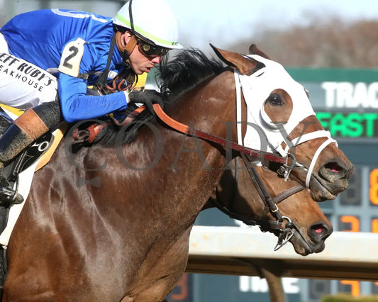 BRU NA BOINNE - 022325 - Race 08 - OP The Trivista Overnight Stakes - Tight Finish 01 Oaklawn Park