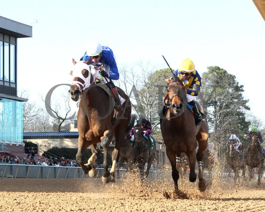 BRU NA BOINNE - 022325 - Race 08 - OP The Trivista Overnight Stakes - Under Rail 01 Oaklawn Park