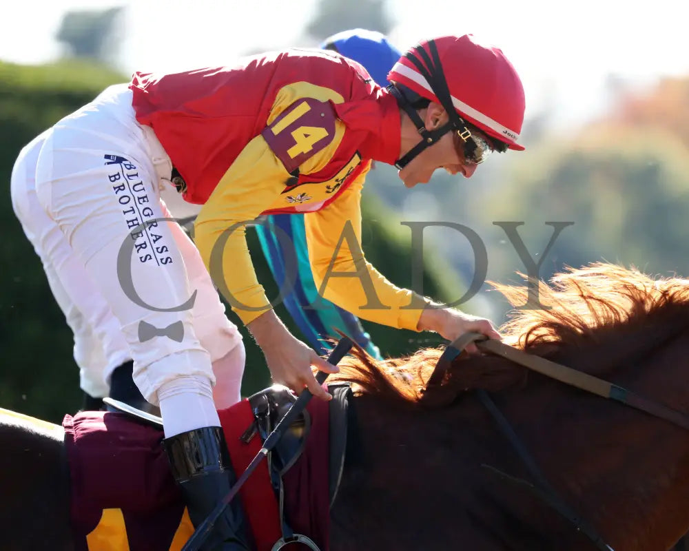 Brunacini - The Perryville G3 10-19-24 R07 Kee Celebration 01 Keeneland