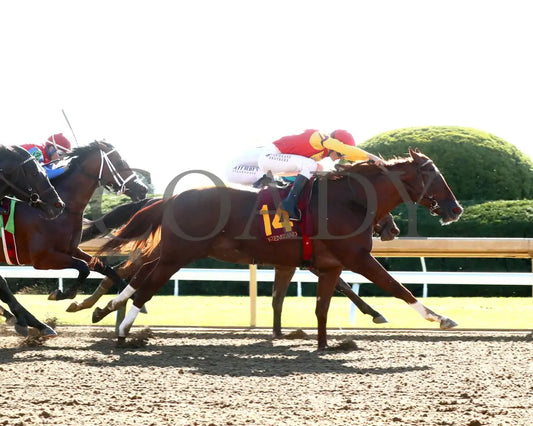 Brunacini - The Perryville G3 10-19-24 R07 Kee Finish 01 Keeneland