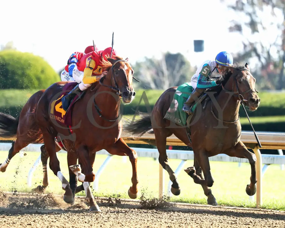 Brunacini - The Perryville G3 10-19-24 R07 Kee Finish 02 Keeneland
