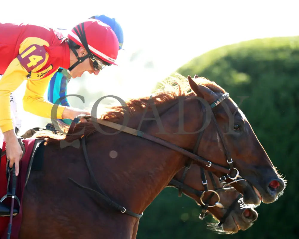 Brunacini - The Perryville G3 10-19-24 R07 Kee Gallop Out 01 Keeneland