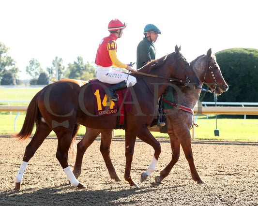 Brunacini - The Perryville G3 10-19-24 R07 Kee Post Parade 01 Keeneland