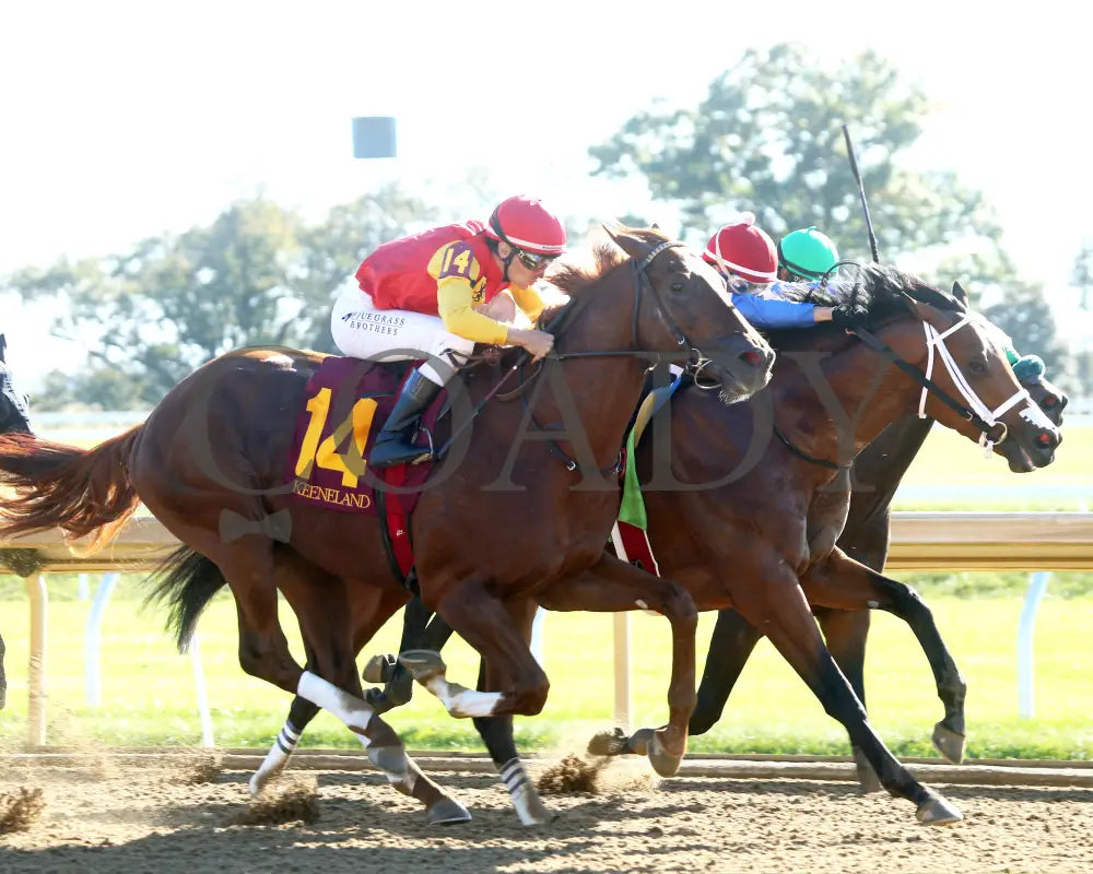 Brunacini - The Perryville G3 10-19-24 R07 Kee Turn 02 Keeneland