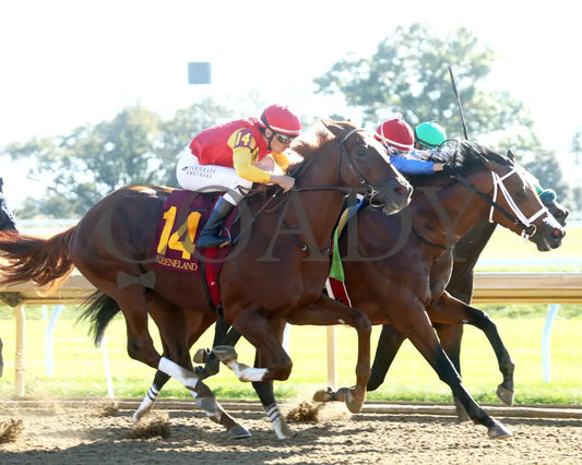 Brunacini - The Perryville G3 10-19-24 R07 Kee Turn 02 Keeneland