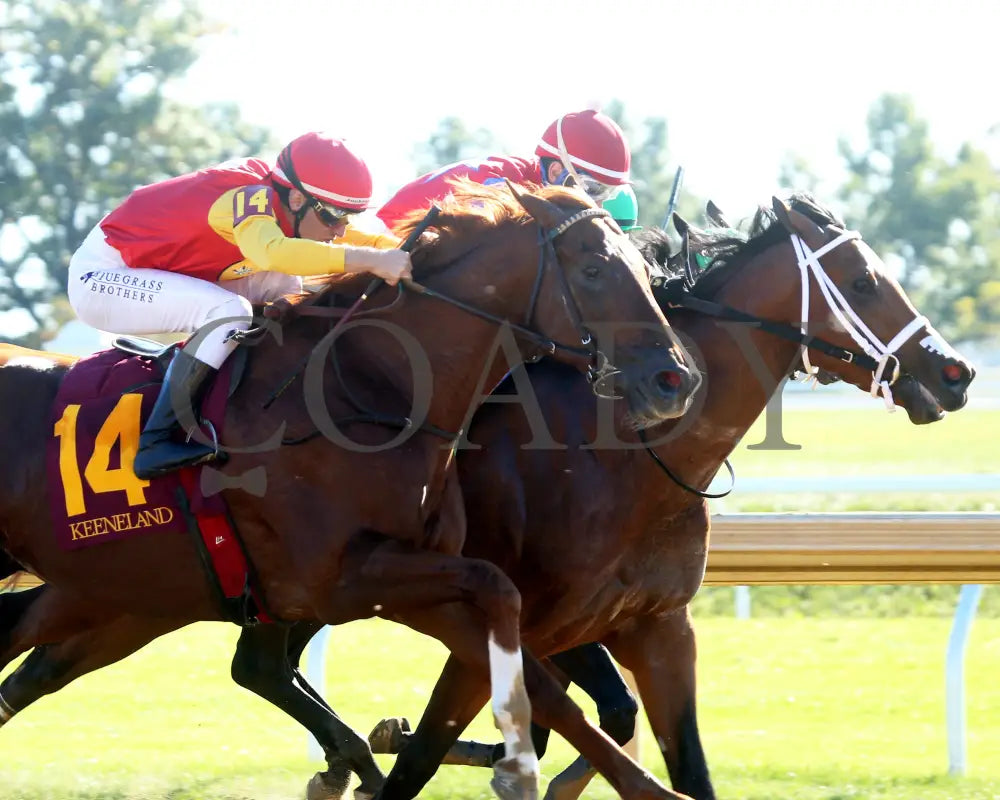 Brunacini - The Perryville G3 10-19-24 R07 Kee Turn 03 Keeneland