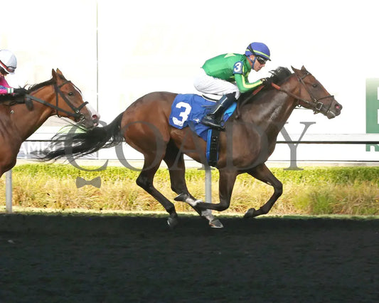 Bucaro - The Fitz Dixon Jr. Memorial Juvenile Stakes 09-20-24 R05 Pid Finish 01 Presque Isle Downs