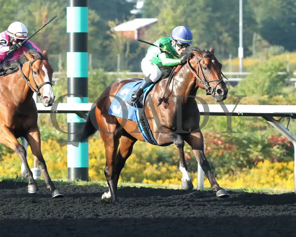 Bucaro - The Fitz Dixon Jr. Memorial Juvenile Stakes 09-20-24 R05 Pid Finish 02 Presque Isle Downs
