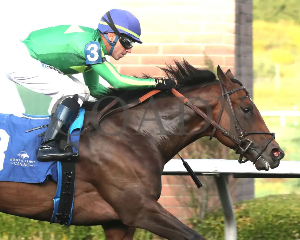 Bucaro - The Fitz Dixon Jr. Memorial Juvenile Stakes 09-20-24 R05 Pid Finish 03 Presque Isle Downs