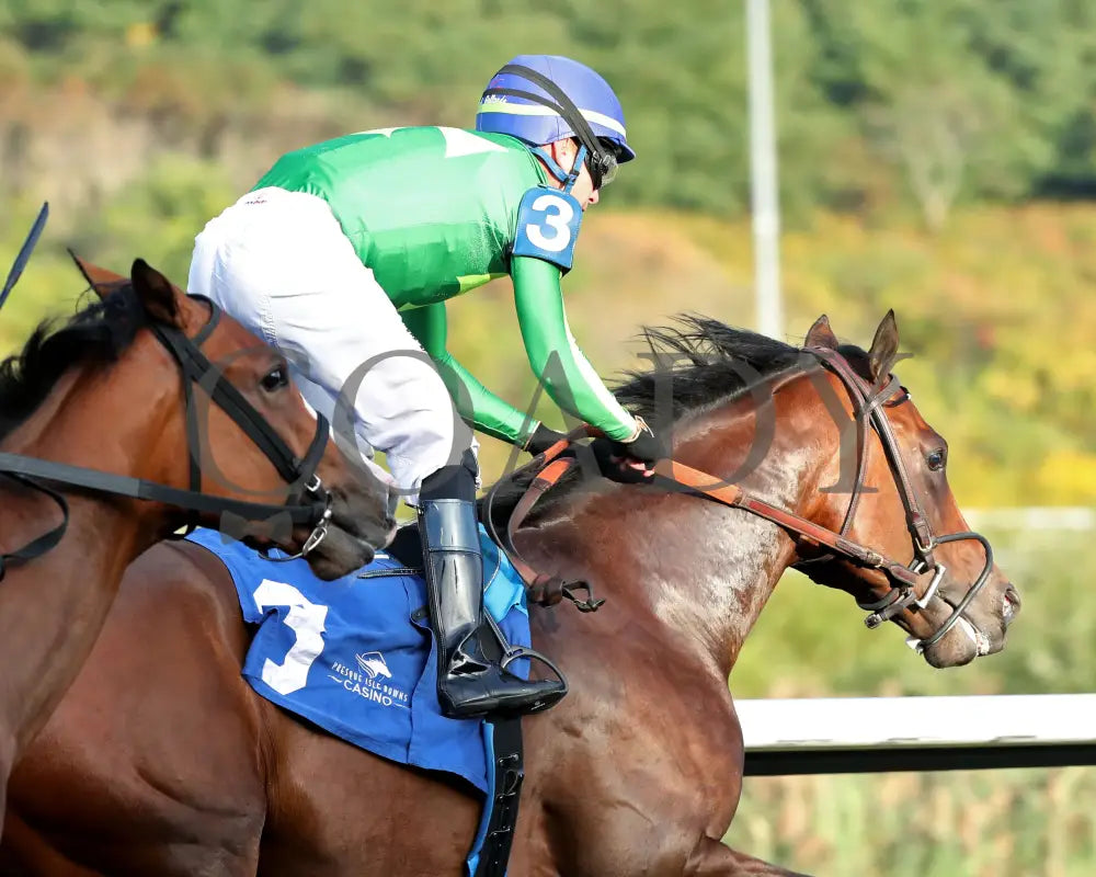 Bucaro - The Fitz Dixon Jr. Memorial Juvenile Stakes 09-20-24 R05 Pid Gallop Out Presque Isle Downs