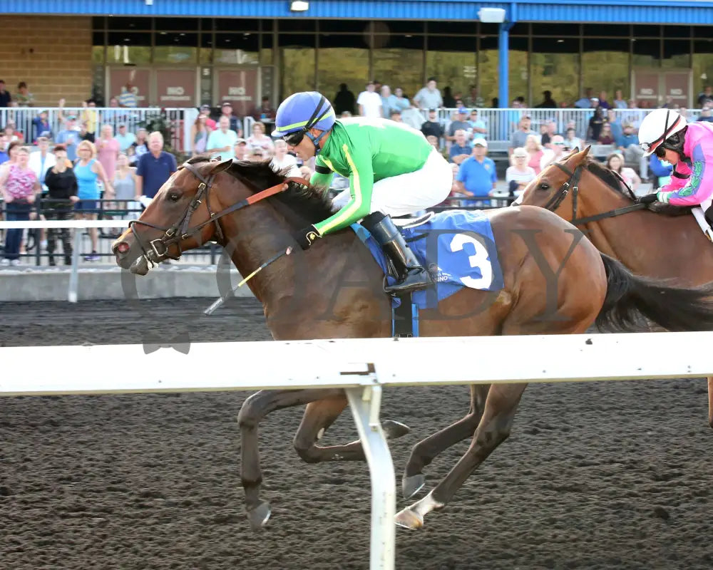 Bucaro - The Fitz Dixon Jr. Memorial Juvenile Stakes 09-20-24 R05 Pid Inside Finish Presque Isle