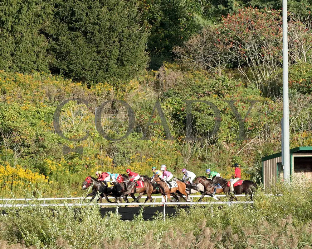 Bucaro - The Fitz Dixon Jr. Memorial Juvenile Stakes 09-20-24 R05 Pid Start Presque Isle Downs