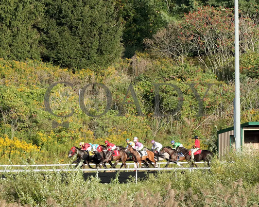 Bucaro - The Fitz Dixon Jr. Memorial Juvenile Stakes 09-20-24 R05 Pid Start Presque Isle Downs