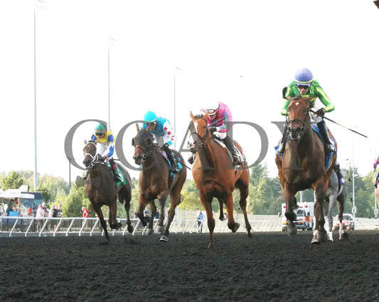 Bucaro - The Fitz Dixon Jr. Memorial Juvenile Stakes 09-20-24 R05 Pid Under Rail Presque Isle Downs