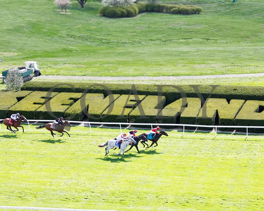 Buchu - The Appalachian G2 04 - 06 - 24 R07 Kee Aerial Finish 01 Keeneland