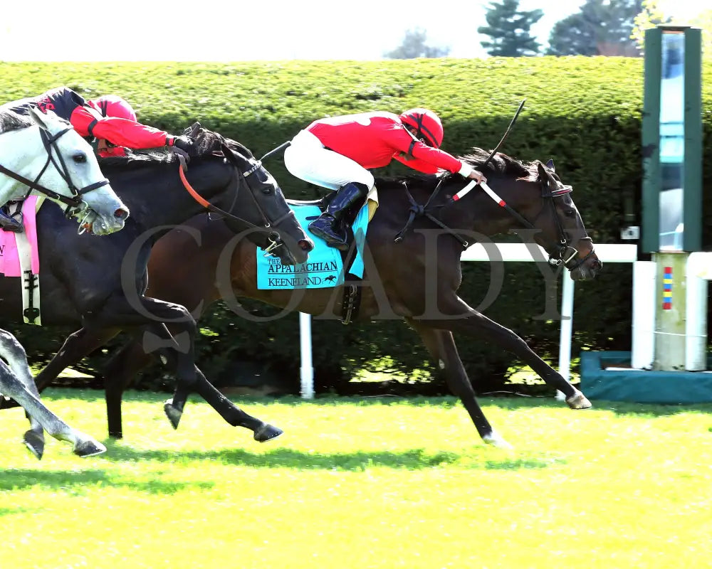Buchu - The Appalachian G2 04 - 06 - 24 R07 Kee Finish 01 Keeneland