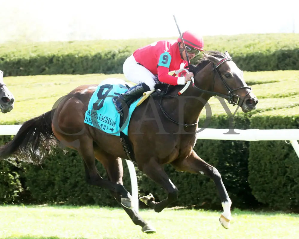 Buchu - The Appalachian G2 04 - 06 - 24 R07 Kee Finish 02 Keeneland