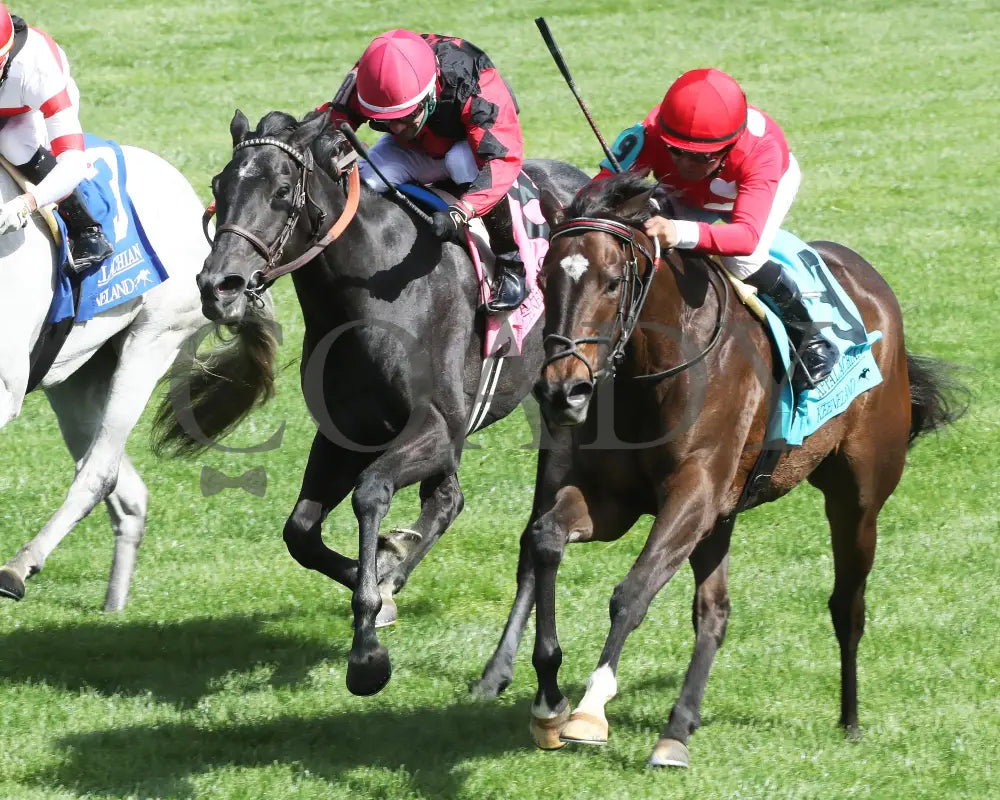 Buchu - The Appalachian G2 04 - 06 - 24 R07 Kee Inside Finish 01 Keeneland