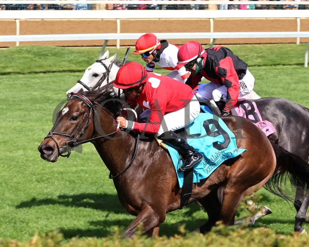 Buchu - The Appalachian G2 04 - 06 - 24 R07 Kee Inside Finish 02 Keeneland