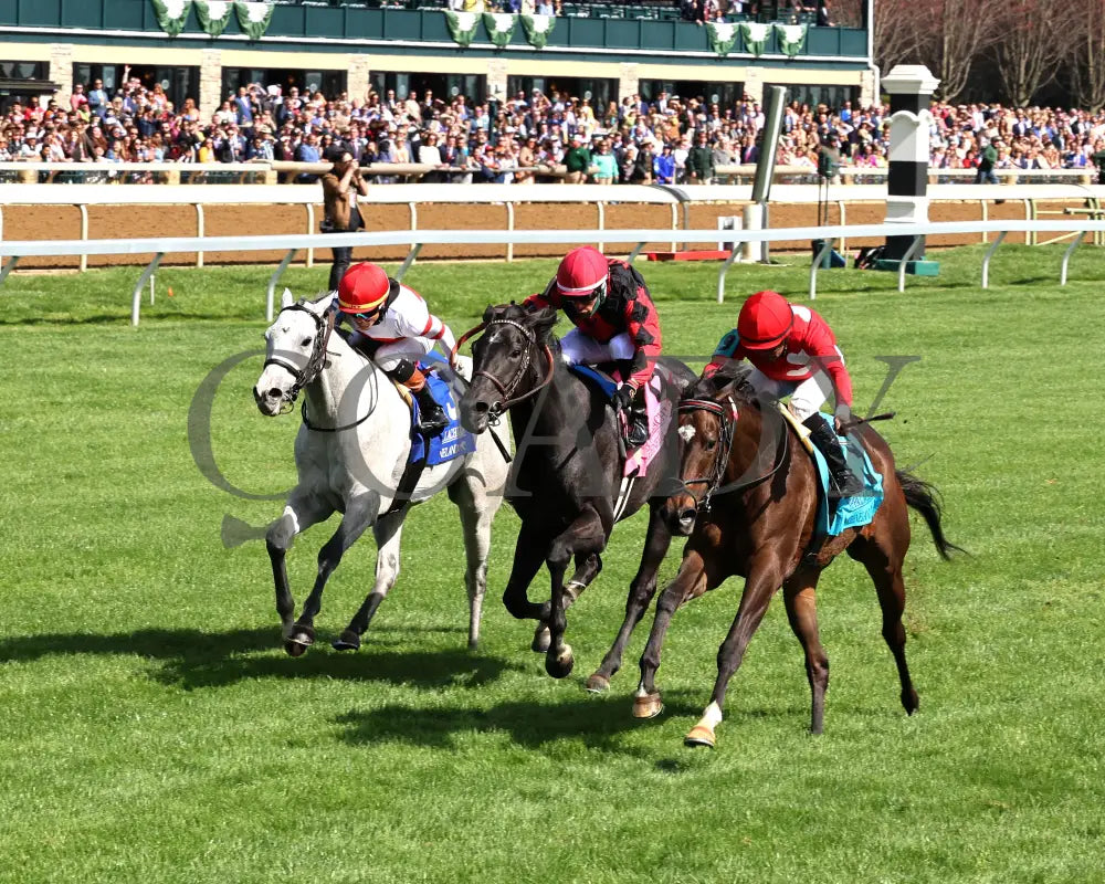 Buchu - The Appalachian G2 04 - 06 - 24 R07 Kee Inside Finish 03 Keeneland