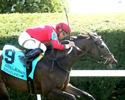 Buchu - The Appalachian G2 04 - 06 - 24 R07 Kee Tight Finish 01 Keeneland
