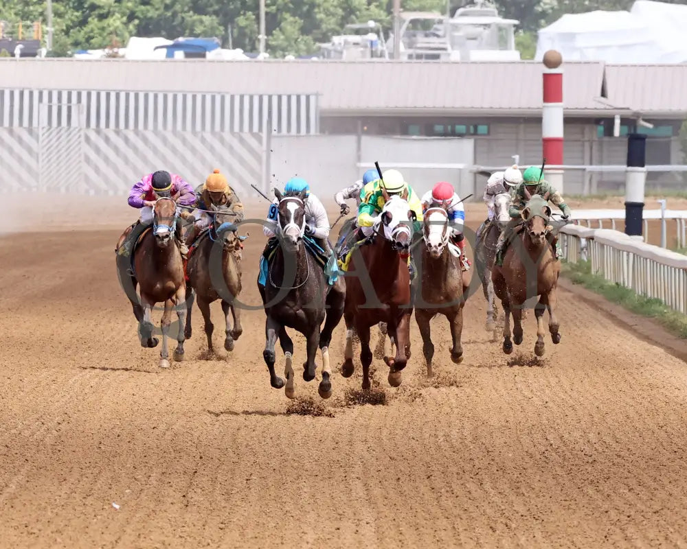 Buckeye Princess - 060724 Race 07 Btp Diana Stakes Head On 01 Belterra Park