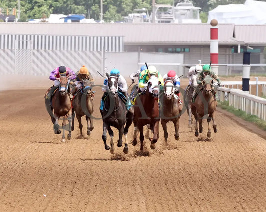 Buckeye Princess - 060724 Race 07 Btp Diana Stakes Head On 01 Belterra Park