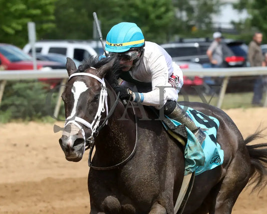 Buckeye Princess - 060724 Race 07 Btp Diana Stakes Inside Finish 01 Belterra Park