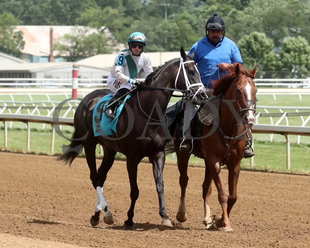 Buckeye Princess - 060724 Race 07 Btp Diana Stakes Post Parade 01 Belterra Park