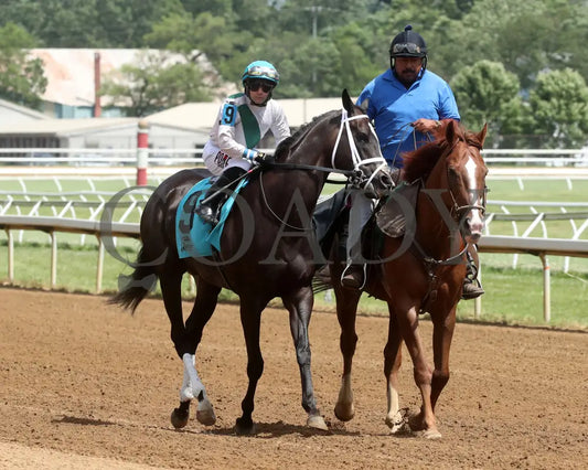 Buckeye Princess - 060724 Race 07 Btp Diana Stakes Post Parade 01 Belterra Park